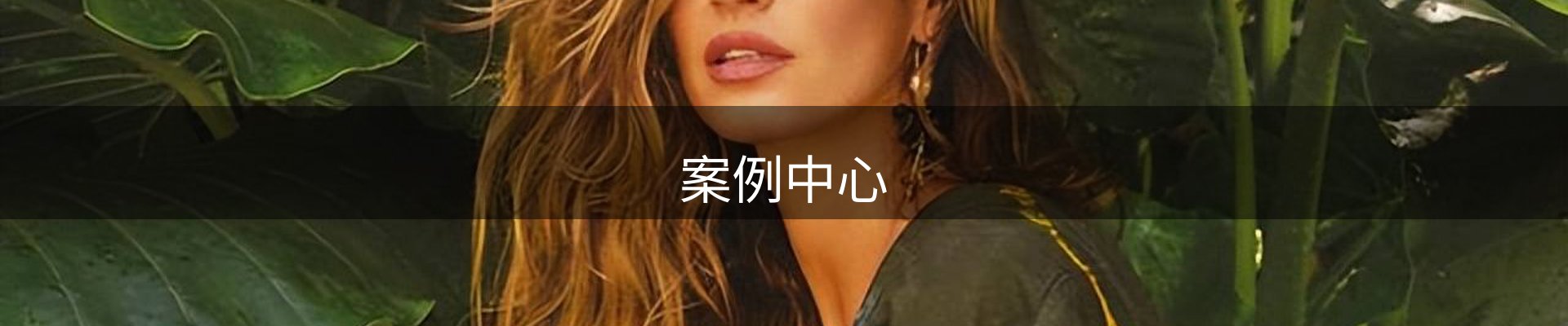 案例中心