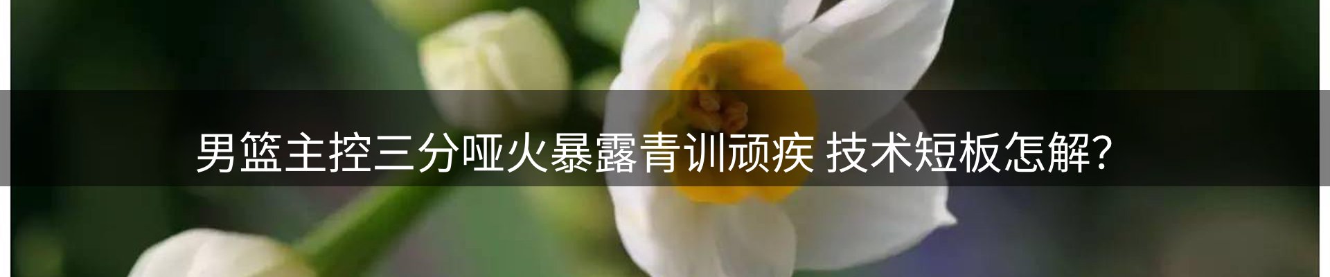 资讯动态